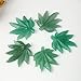 KatLin 1pc Natural Stone Green Aventurine Maple Leaves Crystal Carving Healing Gemstone Leaf Shape Crystal Hand Crafts Home Decoration Gift Ornaments