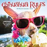  Chihuahua Rules 2023 Mini Wall Calendar