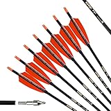 PG1ARCHERY 30 Inch Carbon Arrows with 4 Inch Shield Turkey Feathers Fletching & Removable Points Tips for Archery Hunting Practice Targeting, 6 Pack
