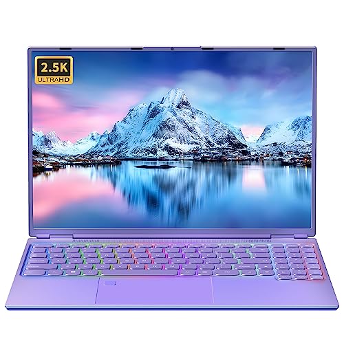 Fsjun 16″ Purple Laptop, Ultra-narrow bezels 2.5K QFH(2560×1600) IPS, Celeron N5095, 16GB RAM 512GB SSD, Color Backlit KB, Fingerprint, Type-C/HDMI/WiFi/HDD Expand, Win11 Pro notebook PC for Student