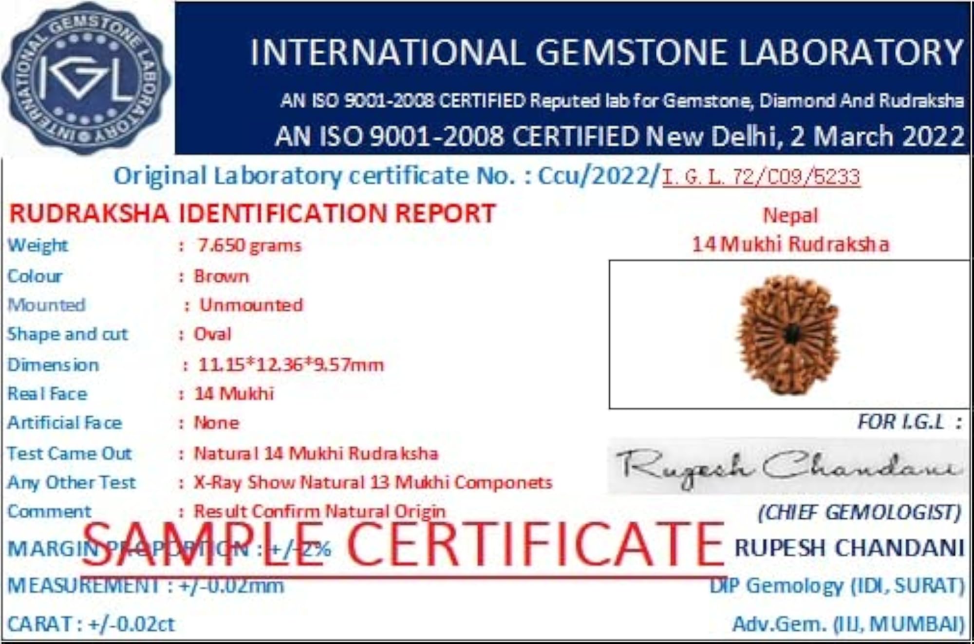 AAA+++ Quality Nepal Rudraksha Bead, Certified Natural Gemstone