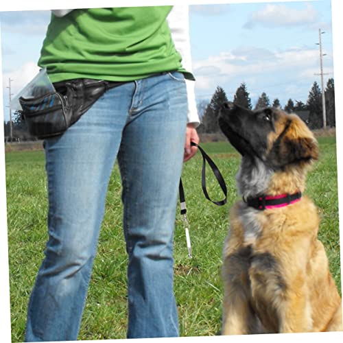 Training Tips with Dog Whistle
