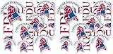 Desert Cactus Fairleigh Dickinson University Sticker FDU Knights Devils Vinyl Decals Laptop Water Bottle Car Scrapbook Sheet T1 (Type 1-1) (Pack of 2)