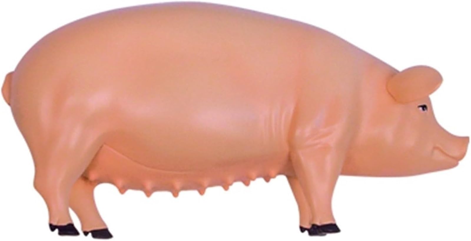 Modelo De Anatomía Y Esqueleto De Cerdo, Modelo Animal Desmontable Con 19 Órganos, Para Formación Veterinaria Y Demostraciones Educativas En Clínicas Y Escuelas