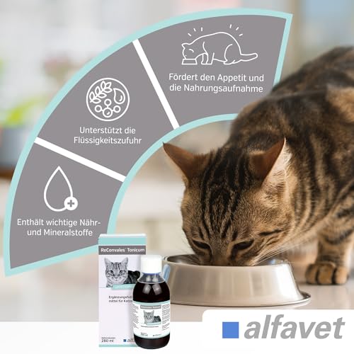 alfavet ReConvales Tonicum Katze, 280 ml, appetitanregendes Ergänzungsfuttermittel zur Rekonvaleszenz und bei Untergewicht