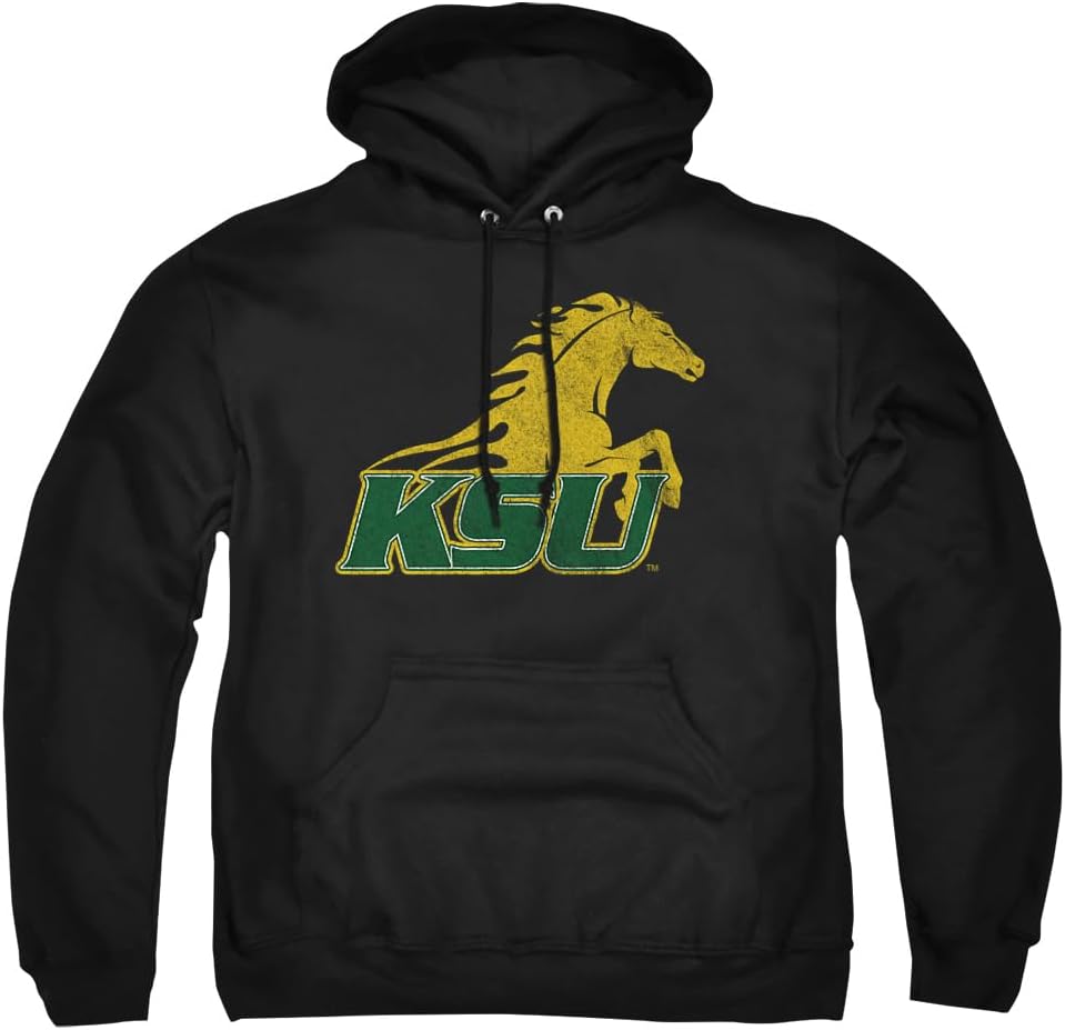 LOGOVISION Official Collegiate Distressed Primary Logo Adult Pullover Hoodie Collection