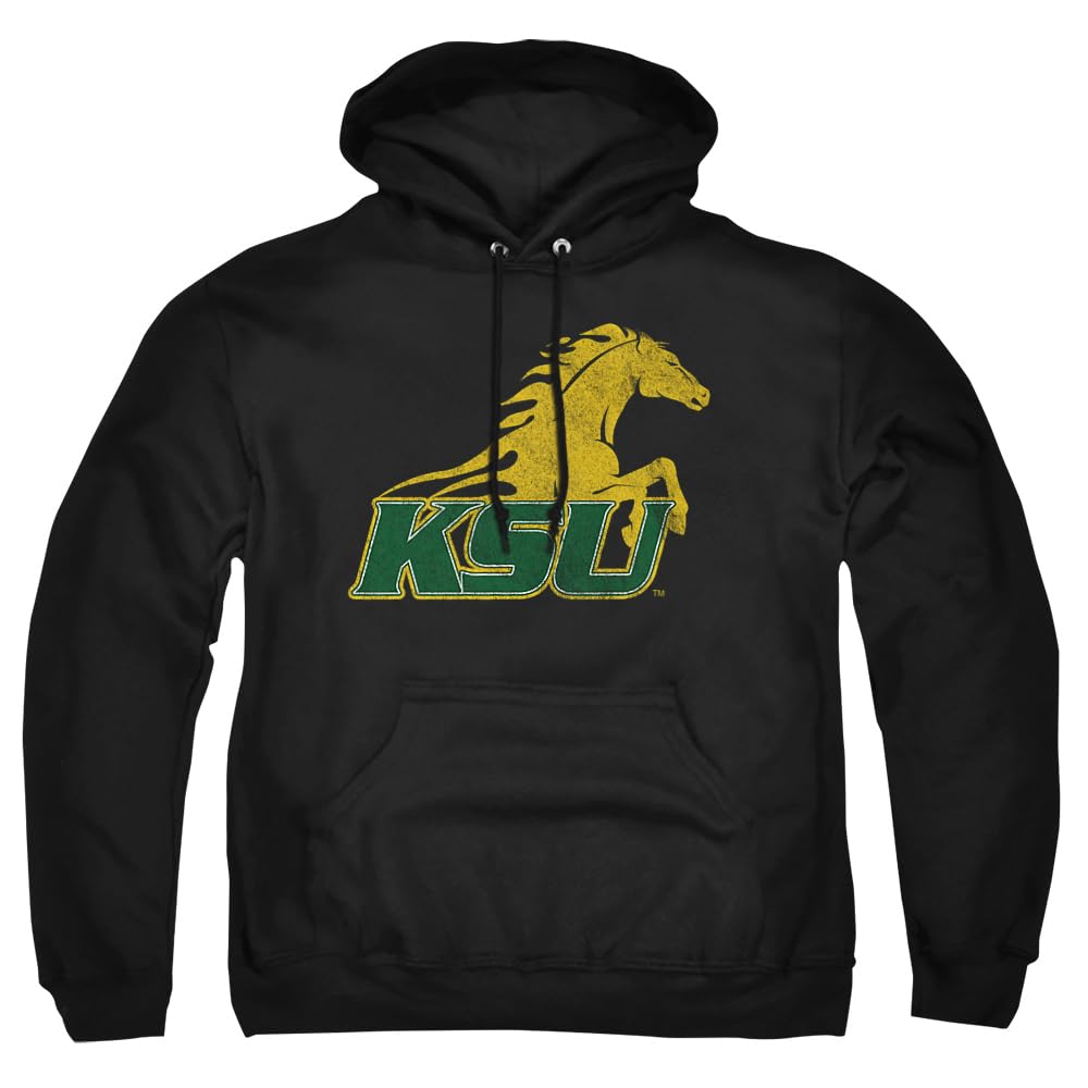 LOGOVISION Official Collegiate Distressed Primary Logo Adult Pullover Hoodie Collection — view 44