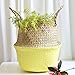 Produktbild ToDIDAF Seagrass Weiden Aufbewahrungskorb mit Griff Handgewebter Faltbarer Blumentopf Behälter für Sukkulenten Blumen Bonsai Pflanzen, für Wohnzimmer Kaffee Garten Büro Deko 22 x 20 cm (Gelb)