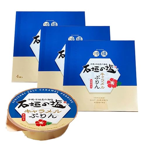 Ί_̉LՂ 70g×4 ×3Zbg Ί_̊C ؖgp v َq lߍ킹 ϔ