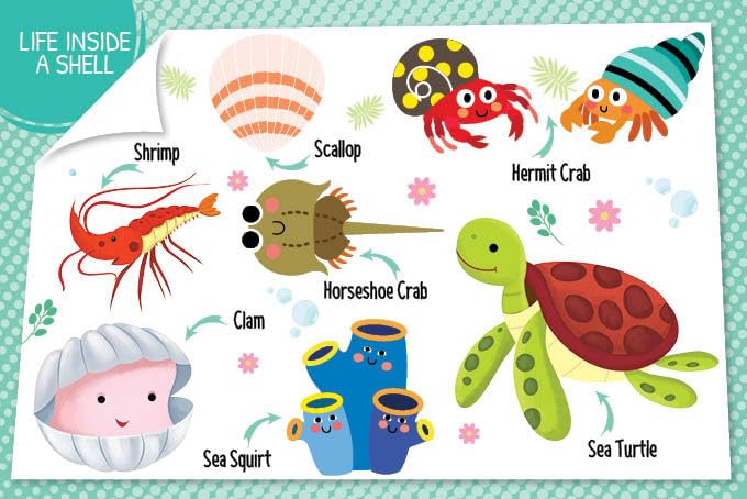 Image of Booktopus Mini Board Book - My First 100 Things Under The Sea - Early Learning Books for Kids - Picture Books for Baby 4+ Years (My First Mini Board Book)