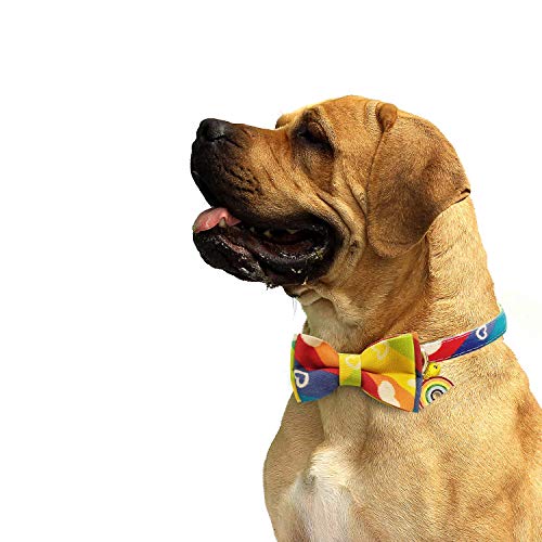 KUDES Dog Bow Tie, Adjustable Dog Collars with Bow Tie and Bells Charm Safety Buckle Cute Pet Collars for Small/Medium/Large Dogs and Cats Boys Girls (Rainbow, M(11\"-18\"))