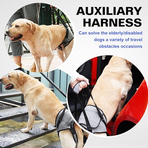 Tragehilfe Hund Hundehebegeschirr Tragegeschirr Hundeschlinge: Hundestützgeschirr Für Die Hinterbeine Mit Handgriff, Verstellbare Gehhilfe Für Verletzte Behinderte Kleine Mittlere Große Hunde (L)