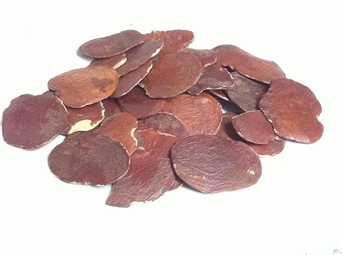 Backtobasics Dhak Beej Palas Beej, Tesu Dhak Kimshuka Palas Seed-Raw Herbs, Papda Teak Parrot Tree Butea Monosperma (100gm) (B0D9M5V8HV) Amazon Price History, Amazon Price Tracker