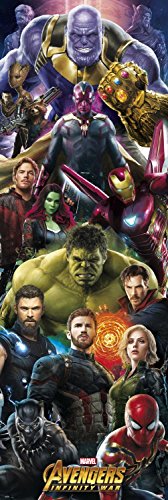 Close Up Poster de Porte Marvel Avengers Infinity War - Héros (53cm x 158cm)
