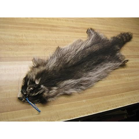 Tanned Raccoon Hide Damaged Furs Hats Bags Damaged Cover