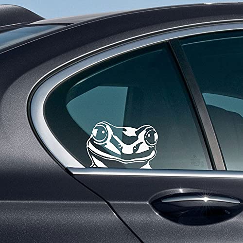 Image of WIRESTER 6 inch Clear Vinyl Decal Sticker Decoration for Car Window (Or Any Flat Surface) - Pond Frog