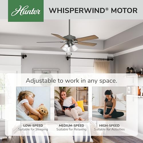 Image of Hunter Swanson, Indoor, Ceiling Fan, with LED Lights, 52 inch, Matte Silver