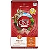 Purina ONE Plus Healthy Weight High Protein Dog Food Dry Formula 40 lb Bag
