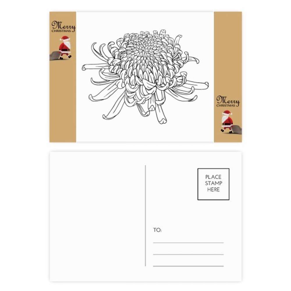 Cartes de remerciement fleur de chrysanthème pour correspondance et papeterie - Lot de 20