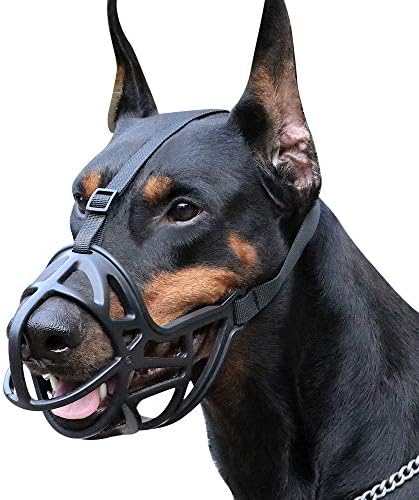 dog muzzle australia