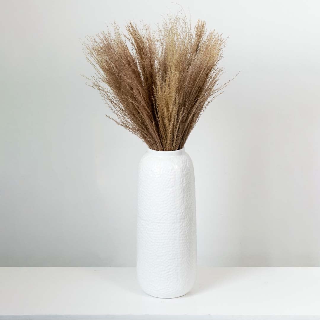 Miscanthus Dried Pampas Grass for Home & Office Decor | Brown| 15 Stems-image-48