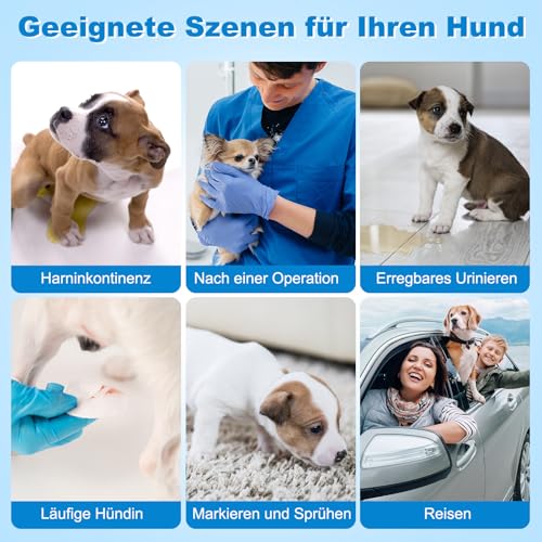 Flying Paws Hunde Windeln, 15 Stück S Anziehbare Einweg-Hundewindeln für Hündinnen - Rüdenwindeln mit dehnbarem Bund S-15