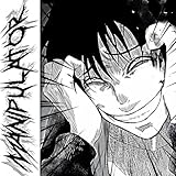 manipulator kran  manipulator.