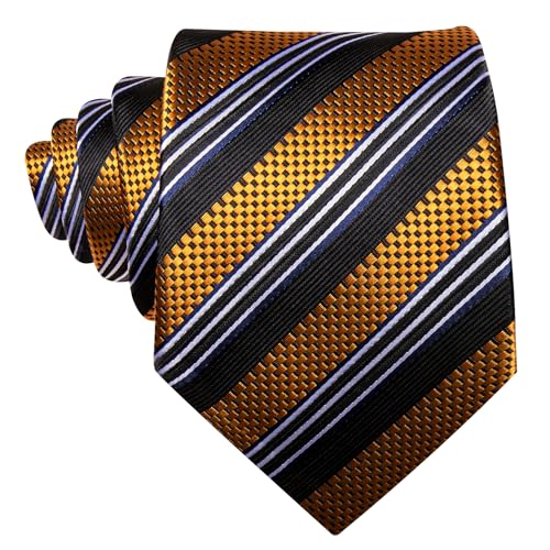 Image of Barry.Wang Silk Men Ties Formal Stripes Necktie and Tie Clip for Wedding Party Business Fashion Classic