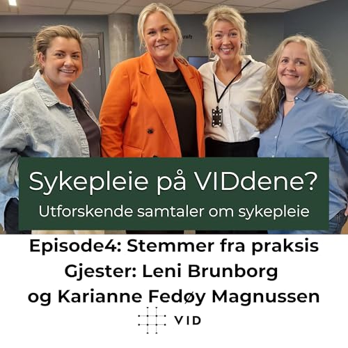 Episode 4: Stemmer fra praksis