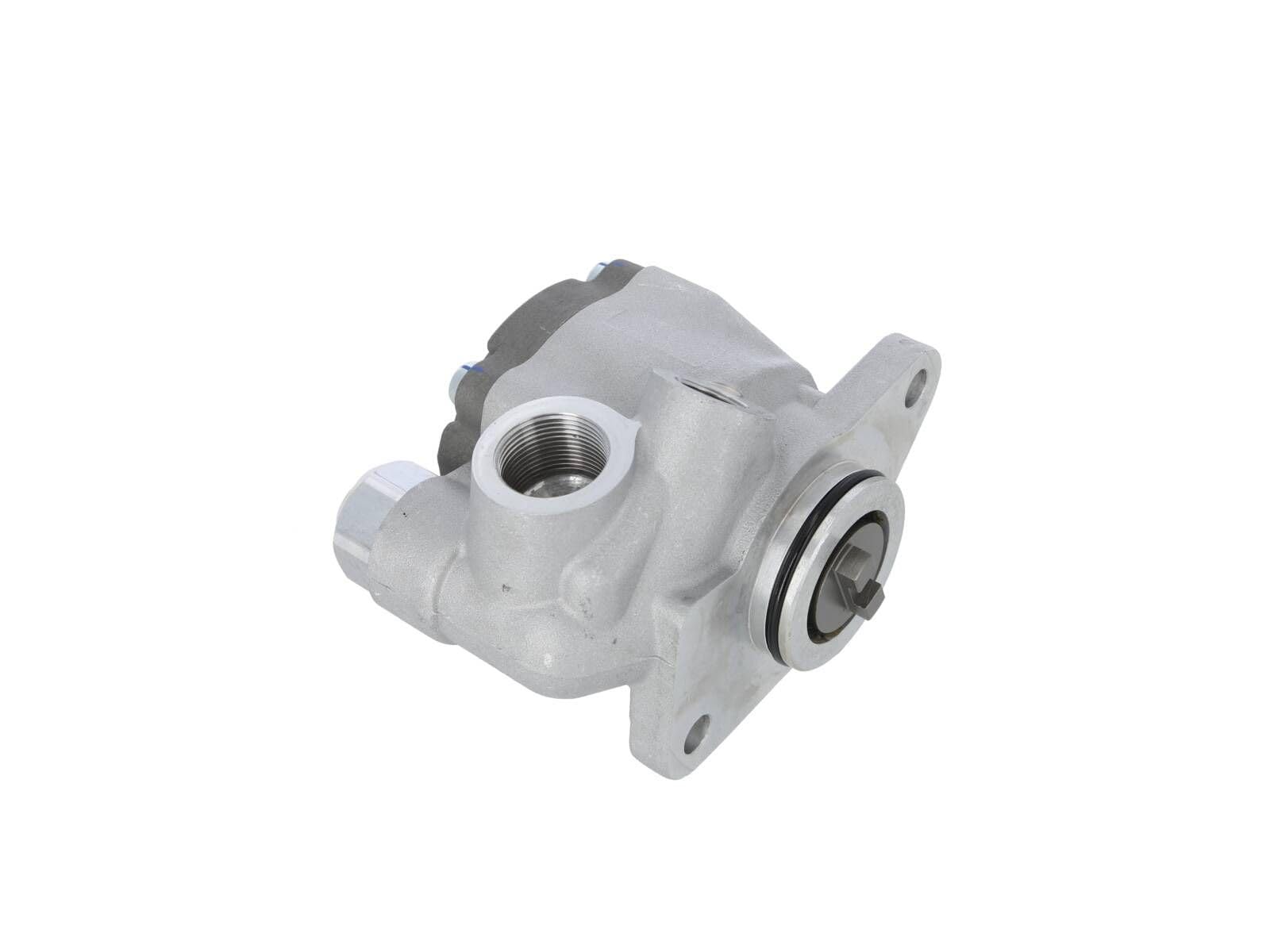 DT Spare Parts 3.69002 Pompa idraulica sterzo idraulico idraulico
