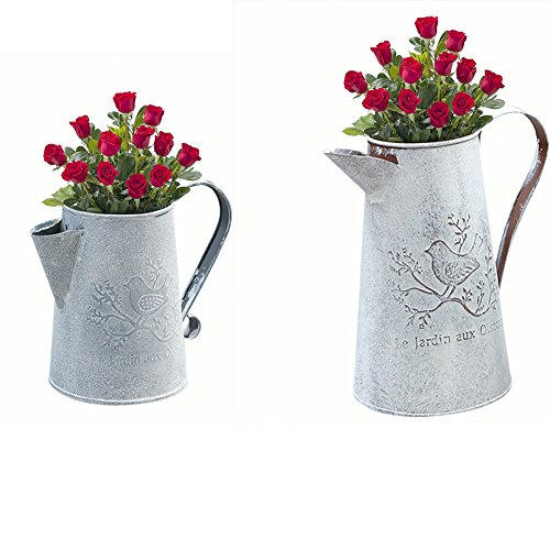 Ruier-hui 2 pcs Macetas de Hierro Retro Florero Vintage Jarrón de Metal Maceta Hierbas Flores Plantas Decorativa Jarra de Flores Flower Pot Metal Cubo Decorativo para Hogar(#A + #B)