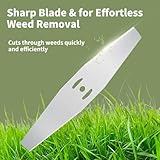 Zoom IMG-2 eupdd 16 pezzi lame per Zoom IMG-2 eupdd 16 pezzi lame per