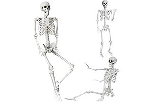 5.4Ft/165cm Halloween Skeleton: Lifelike Human Realistic Movable Joint for Chilling Decoration