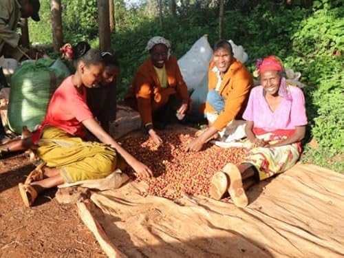 R[q[ 1kg PjA K^CeB AA R