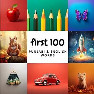 Book cover First 100 Punjabi & English Words (Learn Punjabi)