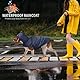 Idepet Regenmantel für Hunde mit Kragenloch Wasserdicht Reflektierend Winddicht Poncho Regenjacke mit Kapuze Hunde Regenschutz für kleine mittelgroße und große Hunde