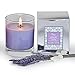 Manu Home CALM Lavender Scented Aromatherapy Candle ~ Made with Quality Aromatherapy Oils for Relaxation ~ Great for Any Home Décor ~ Natural Wax blend ~ Unique and Amazing Smelling Spa Candles ~ Perfect As a Gift, or for Your Own Home ~ 4.5 oz Made in USA.
