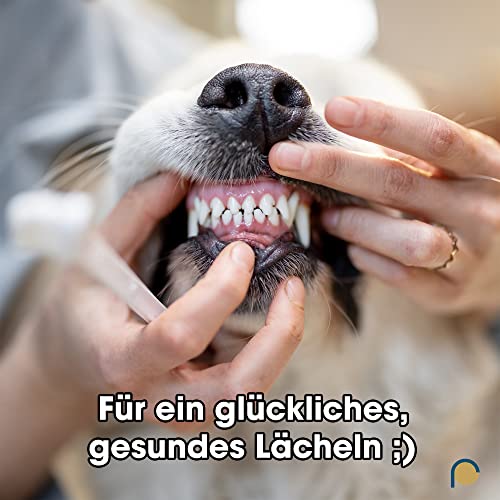 REMOS Zahnsteinentferner 2 in 1 Zahnpflege, für Hund, Katze & Menschen geeignet