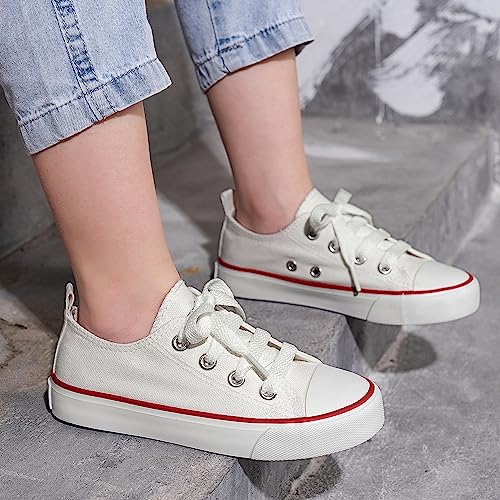 Kids Shoes Toddler Canvas Sneakers for Boys & Girls - Breathable, Lightweight & Durable Lace-Up Shoes Non-Slip Rubber Sole, Classic School Style for Play & Casual Wear,Ages 2+4