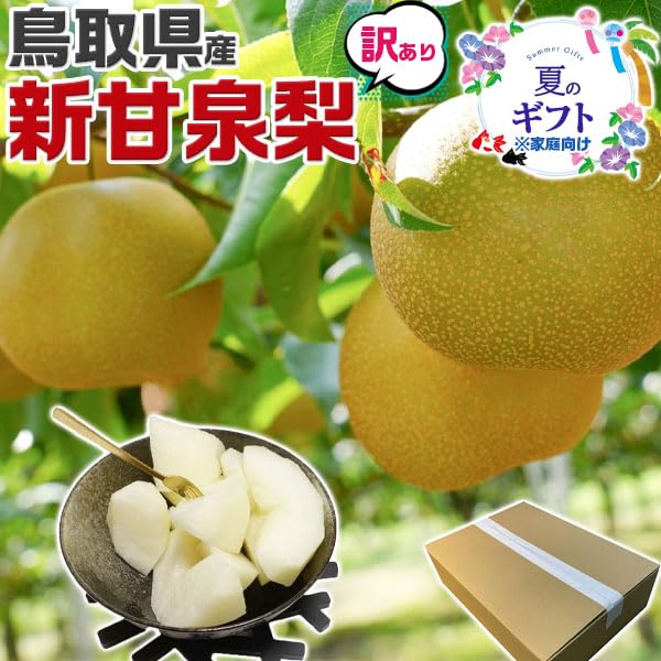 Amazon.co.jp: 訳あり 梨 鳥取 新甘泉 約5kg 6～20玉 糖度14度前後 ご