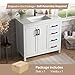 DELUXE LIVING 36 Inch Bathroom Vanity with Sink, White Single Sink Bathroom Vanity Modern Bathroom Sink Cabinet with Soft Close Doors & Drawers, 36 Inch Vanity with Sink, Adjustable Feet, Integral Top