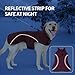 LIANZIMAU Hundejacke Wasserdichter Hundemantel Reflektierende Jacke für kaltes Wetter mit weichem Fleecefutter Warmer Mantel