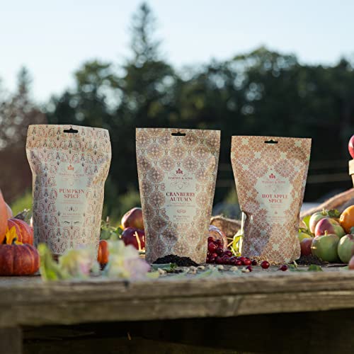 Image of Harney & Sons Fall Sachet Tea Collection, Pumpkin Spice, 150 Count