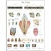 3B Scientific VR1263UU Glossy Paper The Teeth Anatomical Chart, Poster Size 20" Width x 26" Height