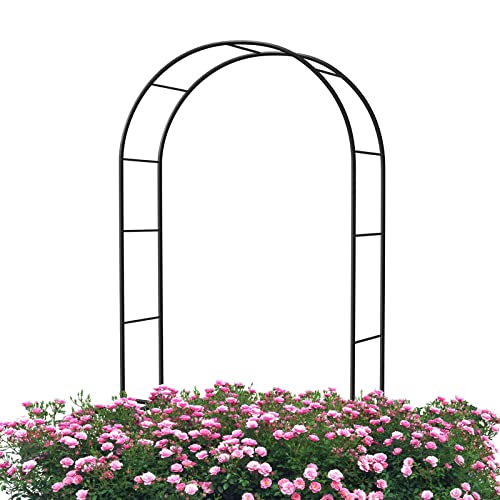 Pergola de jardin et arche de mariage en métal pour treillis de vigne