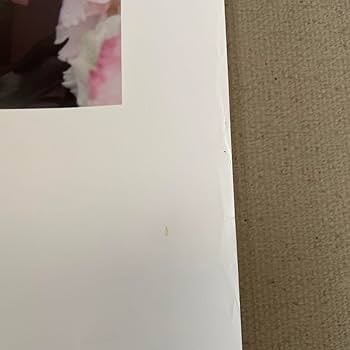 Amazon.co.jp: 北川景子 シチズン クロスシー 特大壁掛け