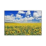 Impresión en lienzo, imágenes artísticas de girasol, decoración del paisaje, arte de la pared de la sala de estar, cuadros decorativos en lienzo, 70x105 m sin marco