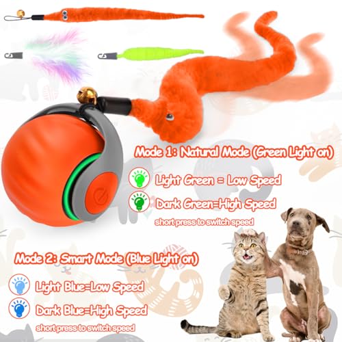 Image of Mity rain Interactive Cat Toy Ball, Rechargeable Cat Toys for Indoor Cats | with Feather Tails for Kittens Chasing, Motion Activated Ball for Enrichment, Automatic Rolling Toys to Keep Them Busy Orange