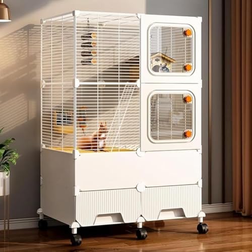 GEBYUI x^P[W ̃lY~EtFbgE``E^nX^[p w\ 1cm h XChgC Ր|ybgP[W?