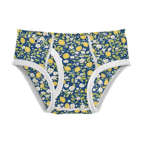 Wusikd Lemon Boys' Underwear Cotton Flowers Boys Briefs Soft Toddler Underwear 2T